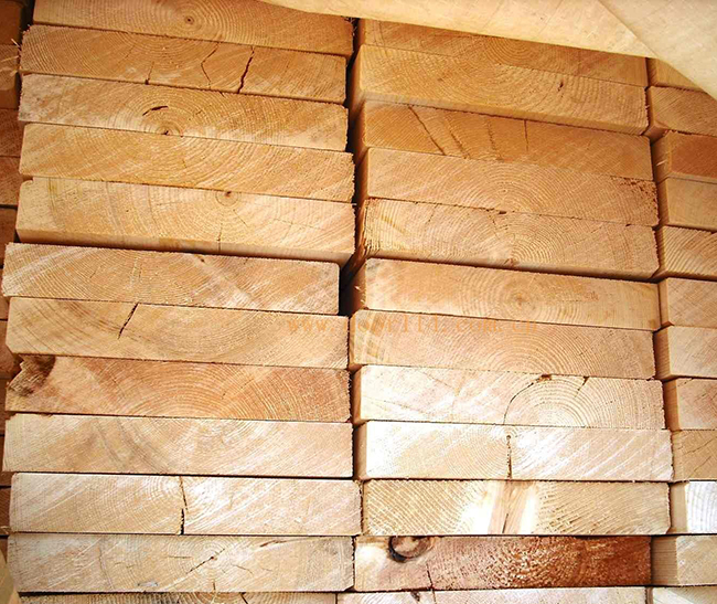 毕节智利辐射松方木